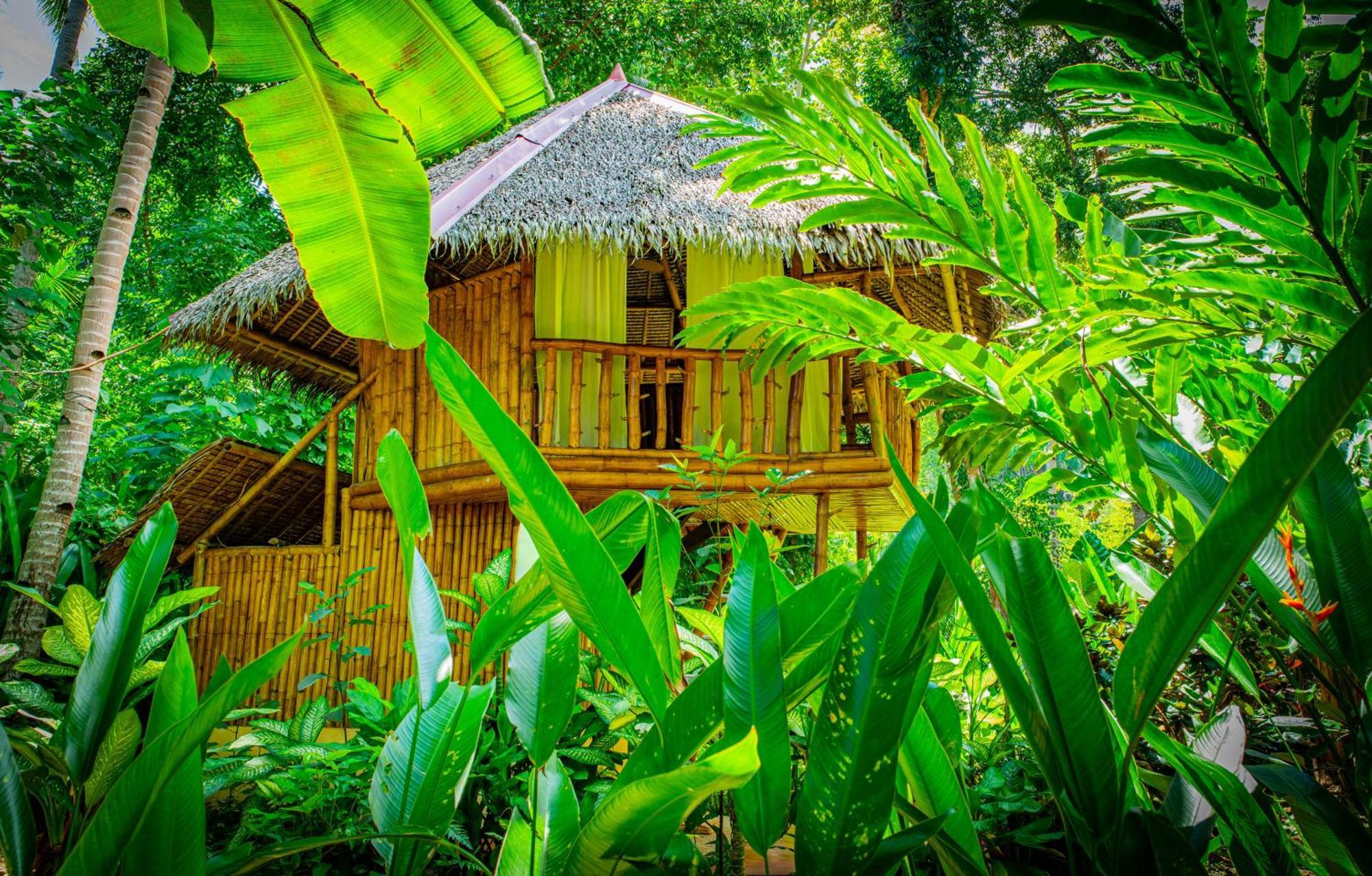 Water To Forest Ecolodge Loboc Eksteriør bilde