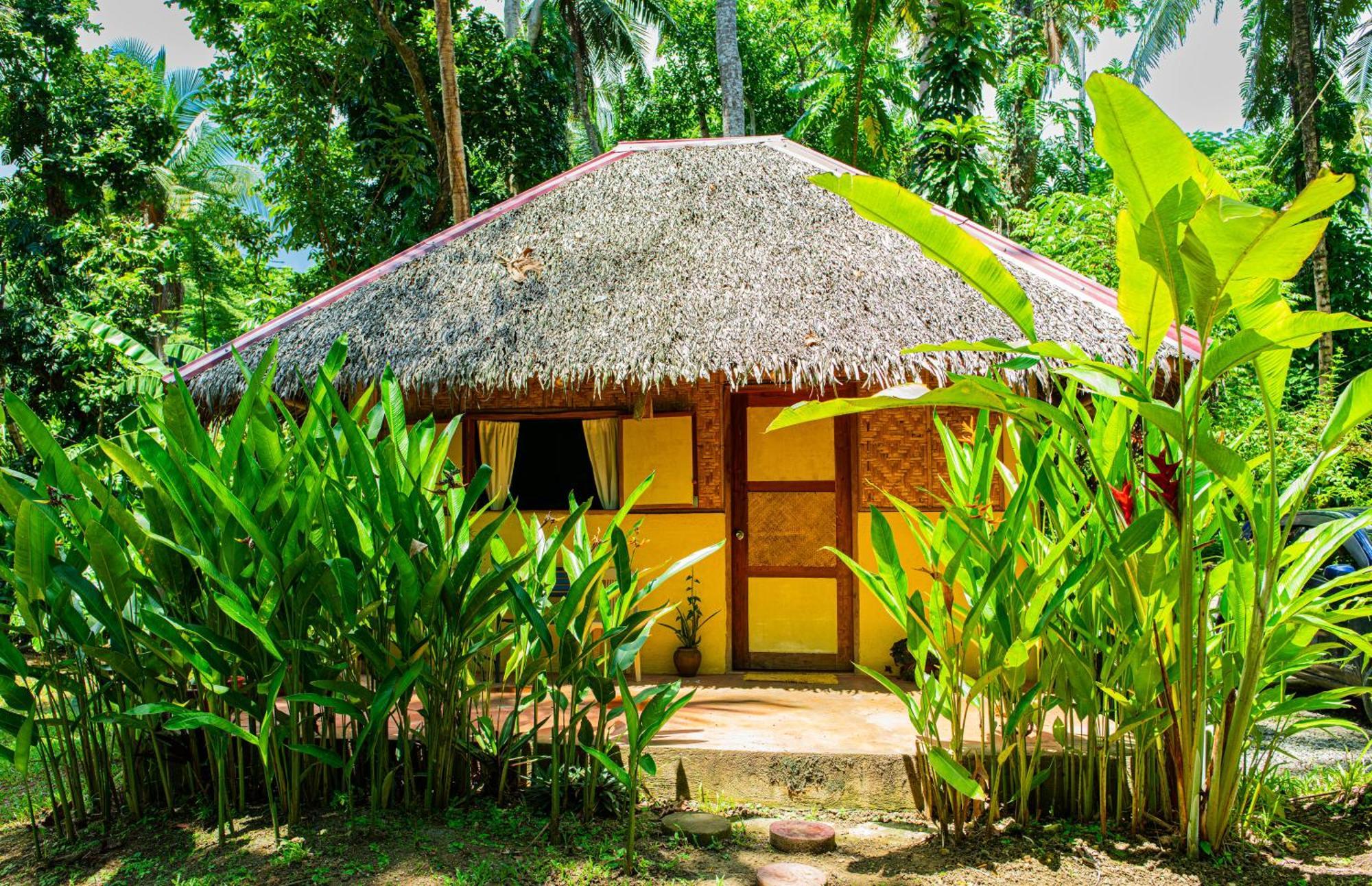 Water To Forest Ecolodge Loboc Eksteriør bilde
