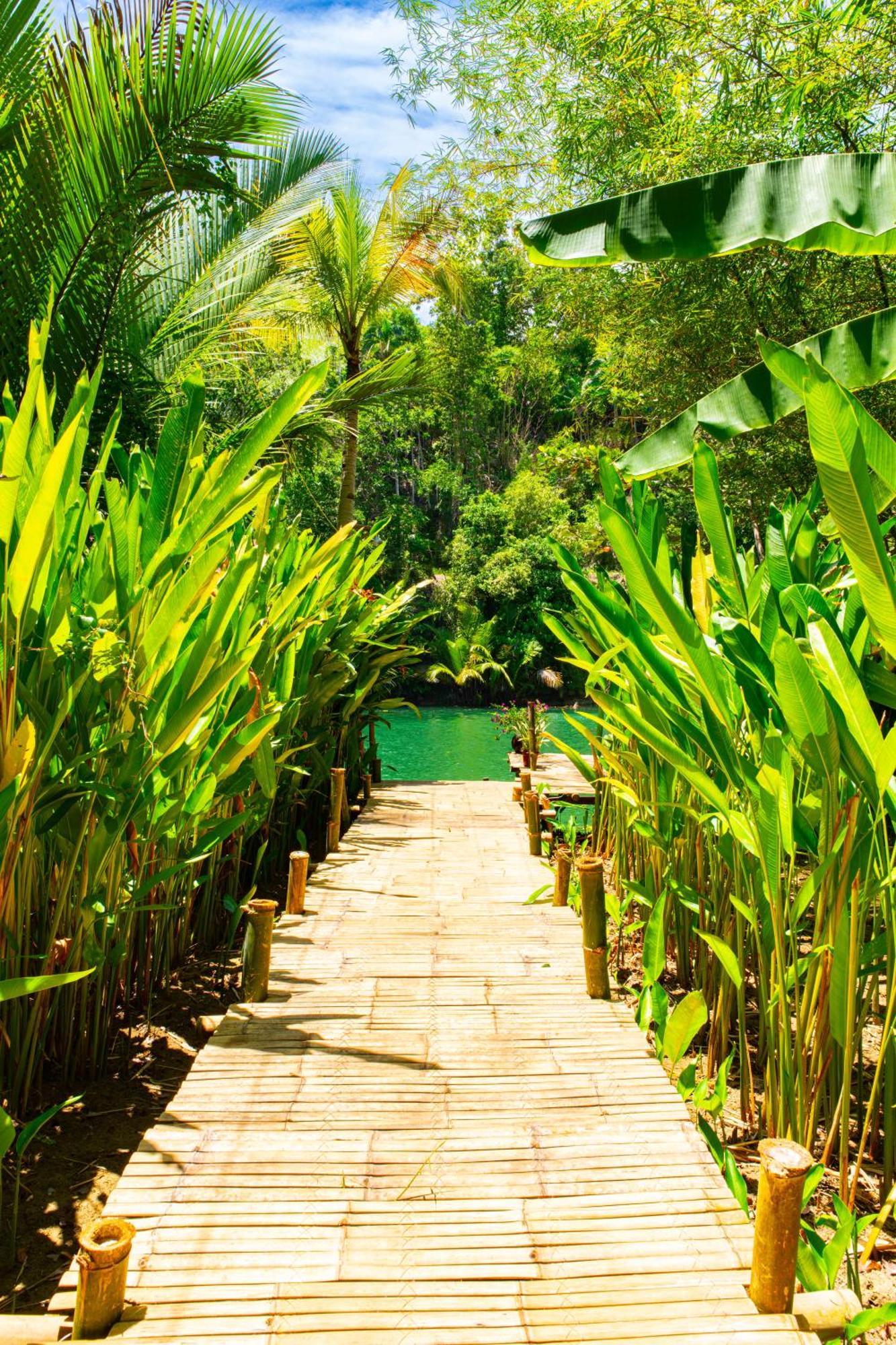 Water To Forest Ecolodge Loboc Eksteriør bilde