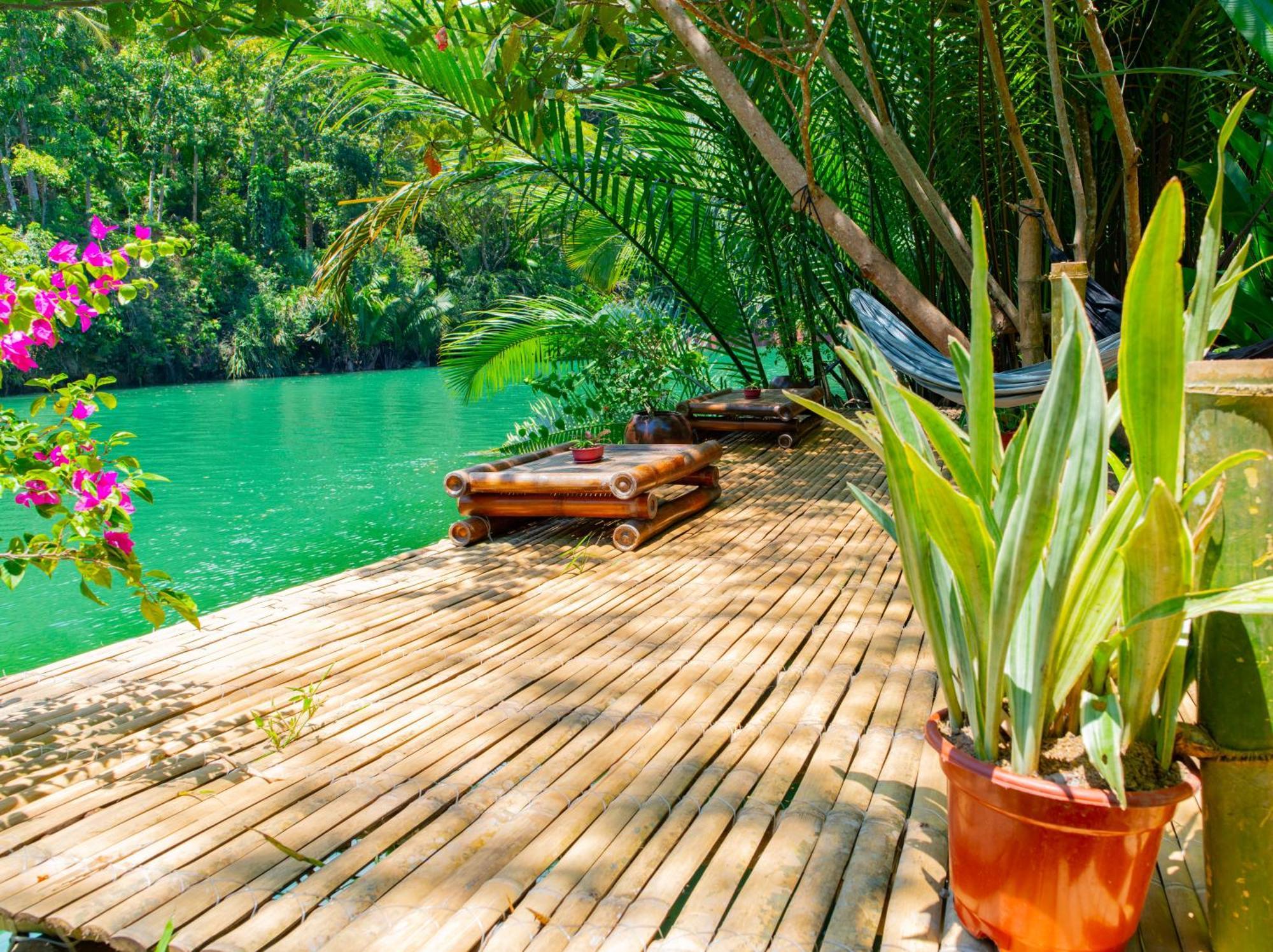 Water To Forest Ecolodge Loboc Eksteriør bilde