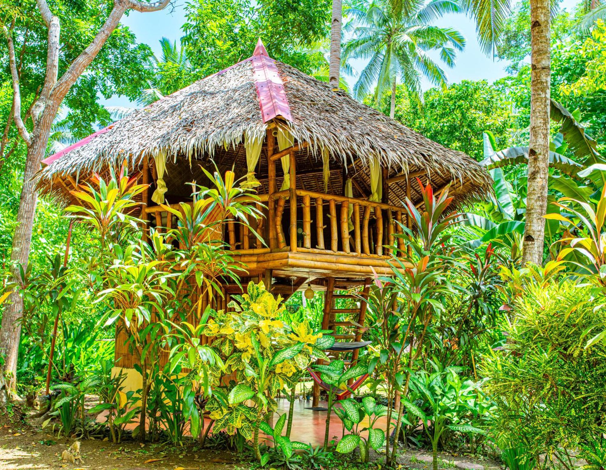 Water To Forest Ecolodge Loboc Eksteriør bilde