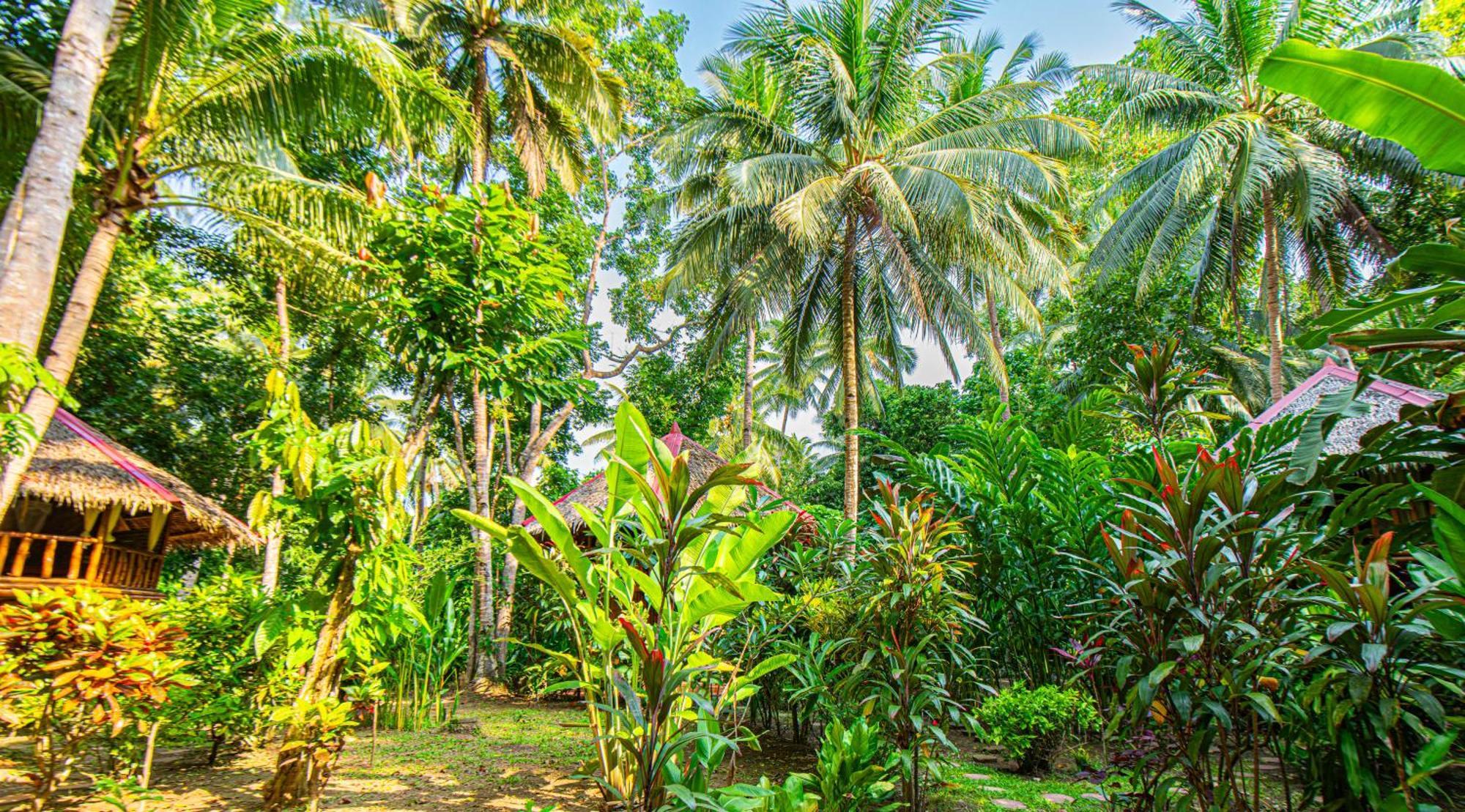 Water To Forest Ecolodge Loboc Eksteriør bilde