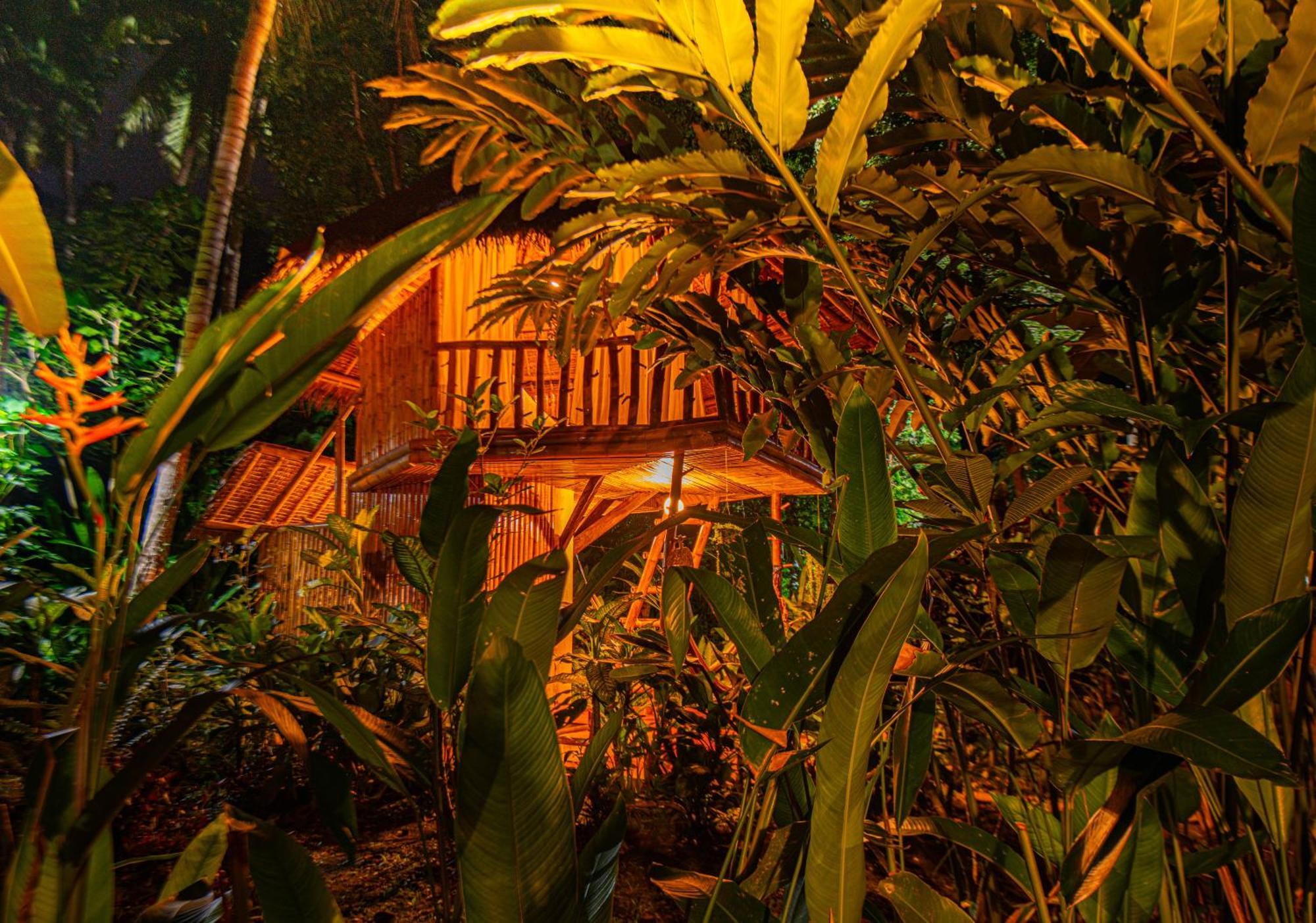 Water To Forest Ecolodge Loboc Eksteriør bilde