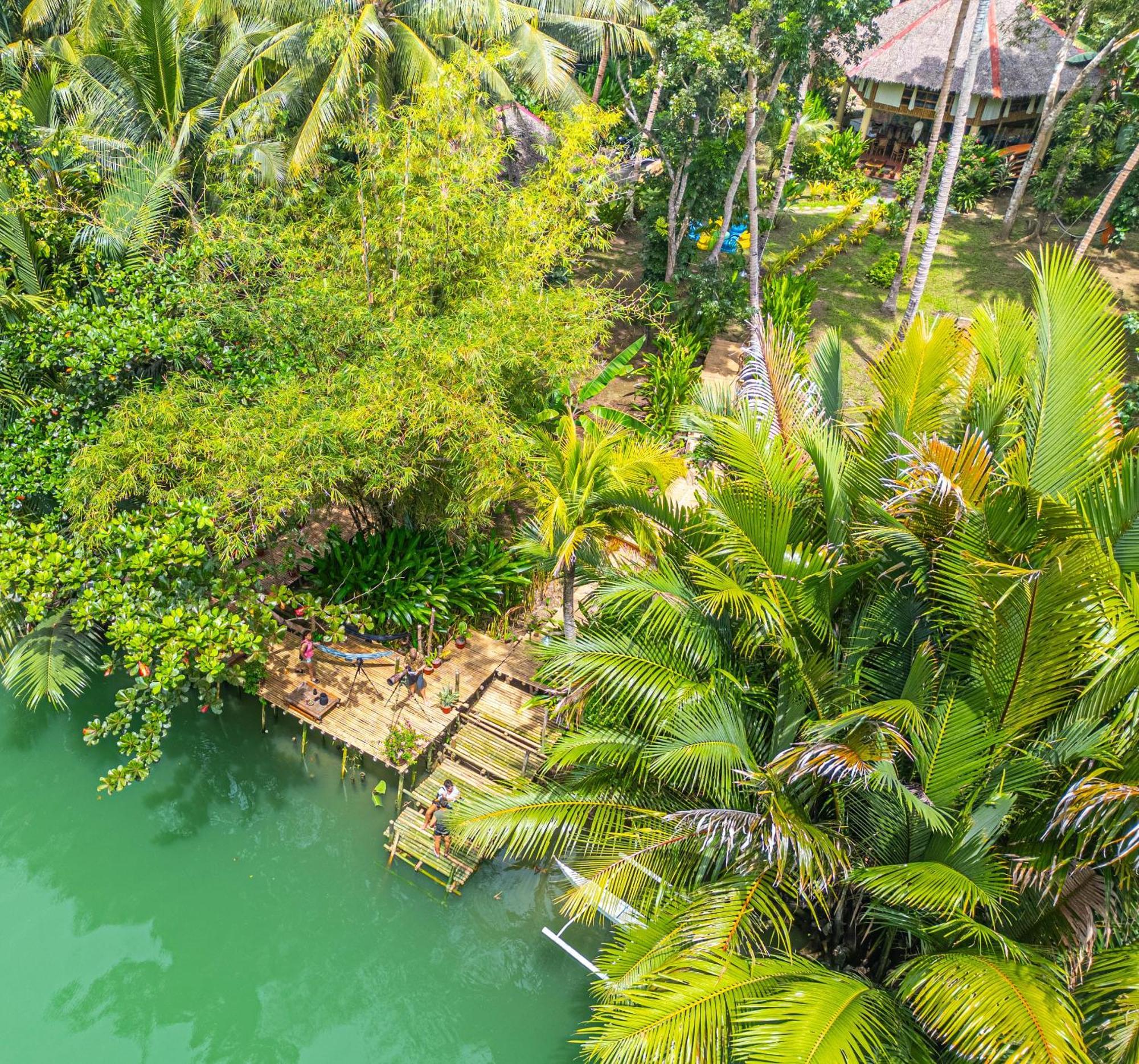 Water To Forest Ecolodge Loboc Eksteriør bilde