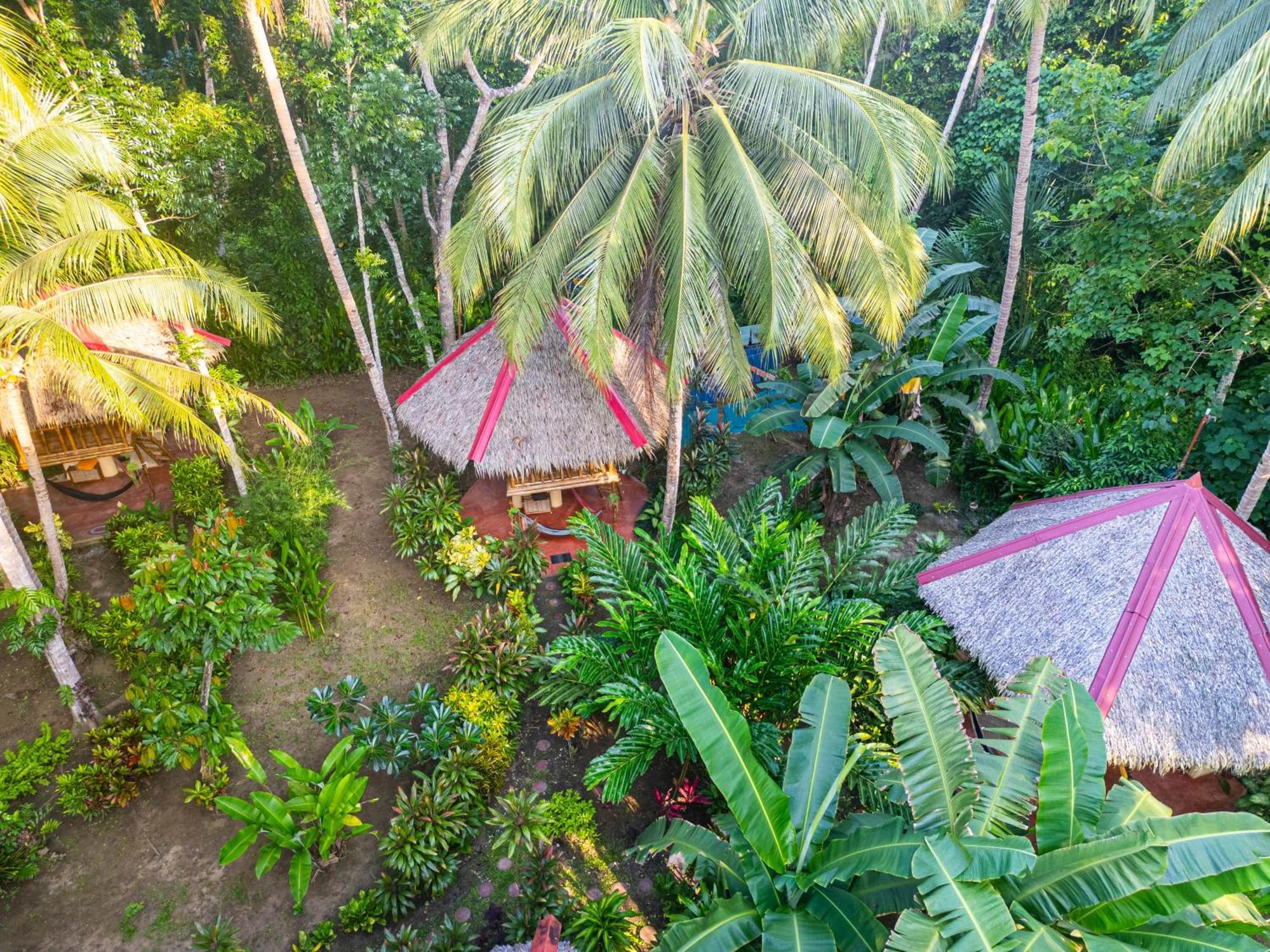 Water To Forest Ecolodge Loboc Eksteriør bilde