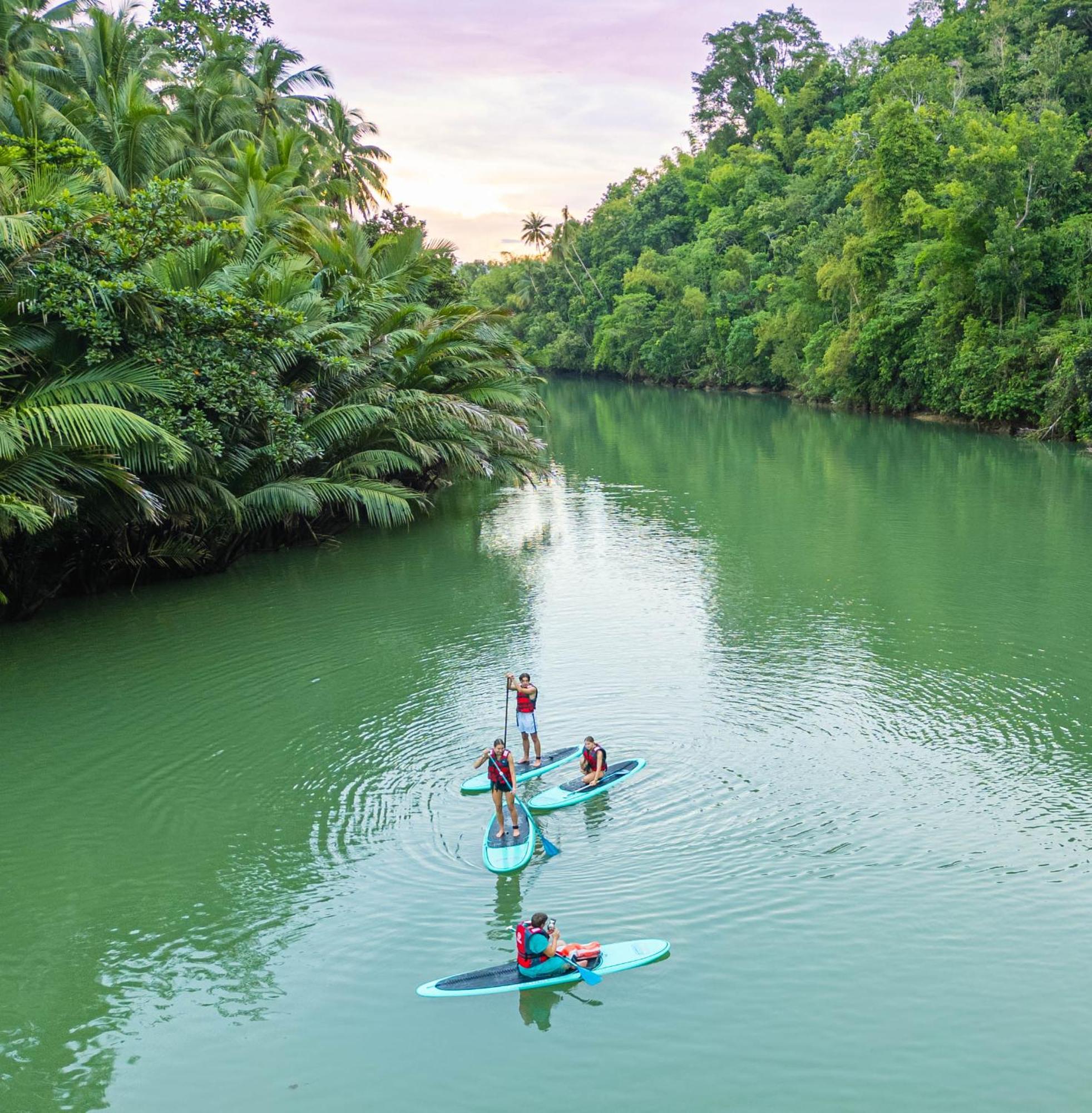 Water To Forest Ecolodge Loboc Eksteriør bilde